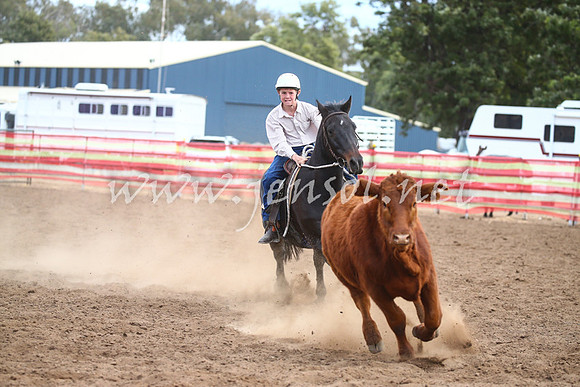 CoonambleRodeoCampdraftSat_1128