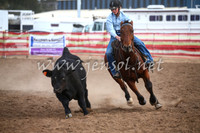 CoonambleRodeoCampdraftSat_1050