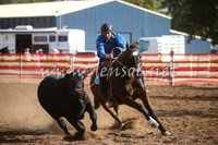 CoonambleRodeoCampdraftSat_1042