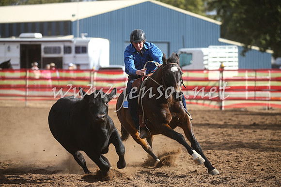 CoonambleRodeoCampdraftSat_1042