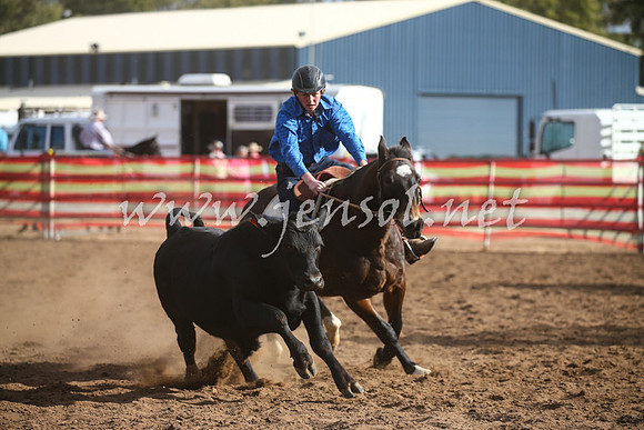CoonambleRodeoCampdraftSat_1038