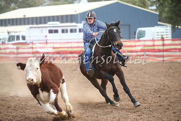 CoonambleRodeoCampdraftSat_1131