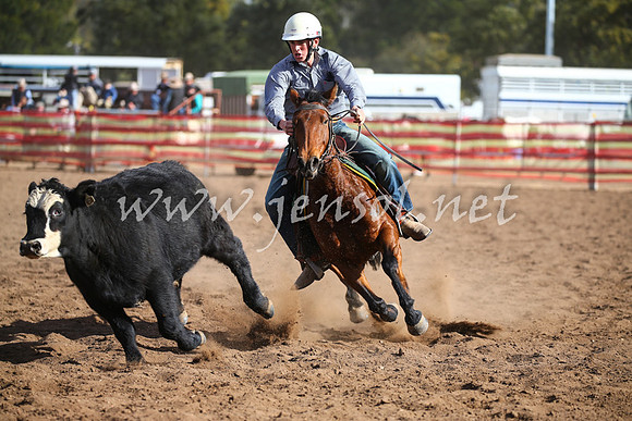 CoonambleRodeoCampdraftSat_0997