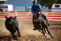 CoonambleRodeoCampdraftSat_1037