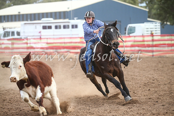 CoonambleRodeoCampdraftSat_1133