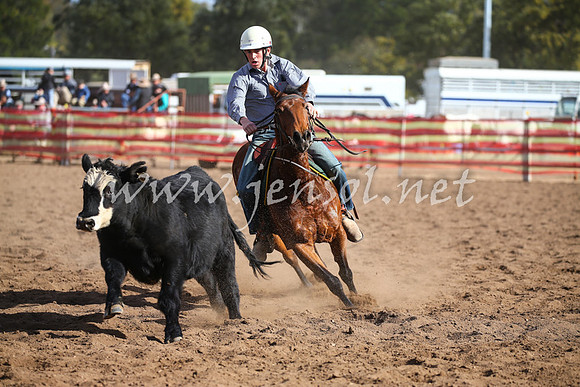 CoonambleRodeoCampdraftSat_0995