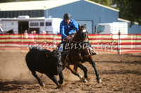 CoonambleRodeoCampdraftSat_1040