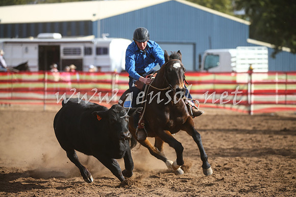 CoonambleRodeoCampdraftSat_1040