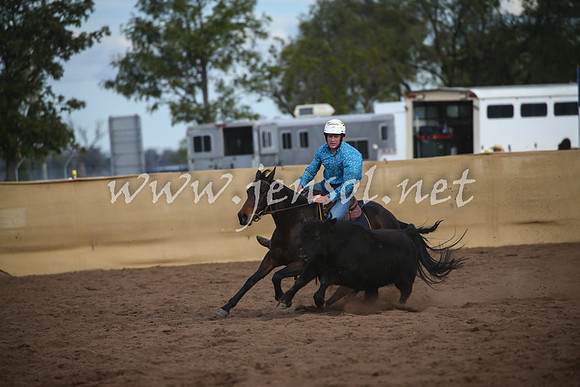 CoonambleRodeoCampdraftSat_1082