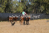 BattleoftheBidgee_1581