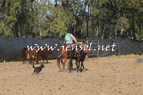 BattleoftheBidgee_1581