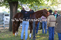 BattleoftheBidgee_0019-1
