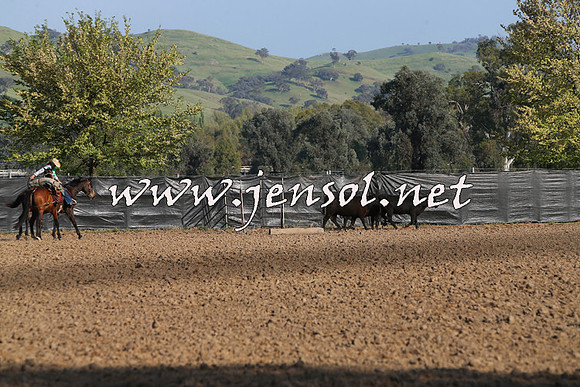 BattleoftheBidgee_1612