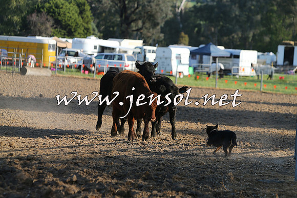 BattleoftheBidgee_0047-1