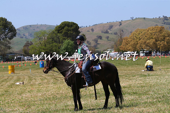 BattleoftheBidgee_1865