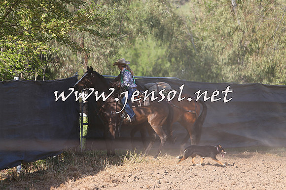 BattleoftheBidgee_1622
