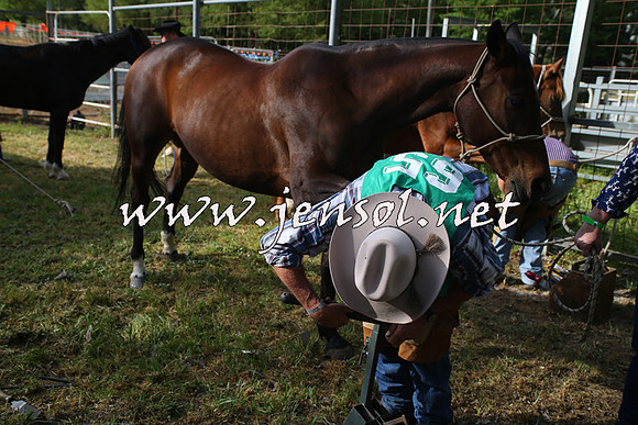 BattleoftheBidgee_0005