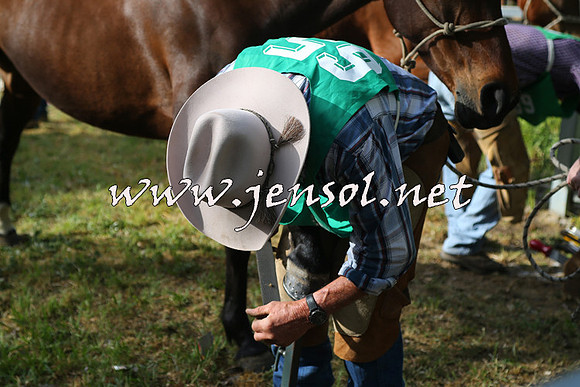 BattleoftheBidgee_0003