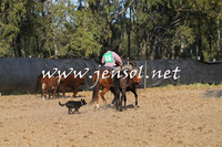 BattleoftheBidgee_0055-1