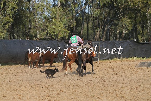 BattleoftheBidgee_0055-1
