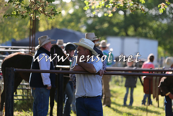 BattleoftheBidgee_0081-1