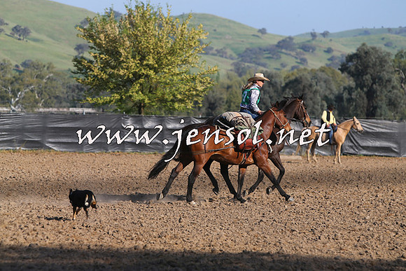 BattleoftheBidgee_1621