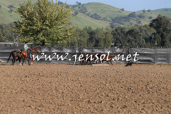 BattleoftheBidgee_0063-1