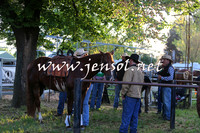 BattleoftheBidgee_0027-1