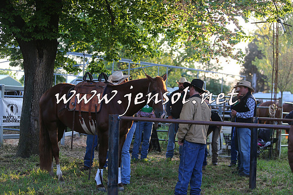 BattleoftheBidgee_0027-1