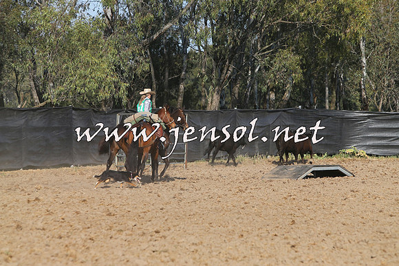 BattleoftheBidgee_1604