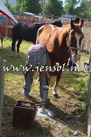 BattleoftheBidgee_0001