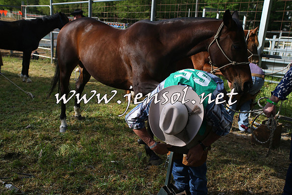 BattleoftheBidgee_0007