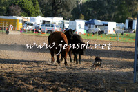 BattleoftheBidgee_0046-1