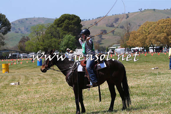 BattleoftheBidgee_1863
