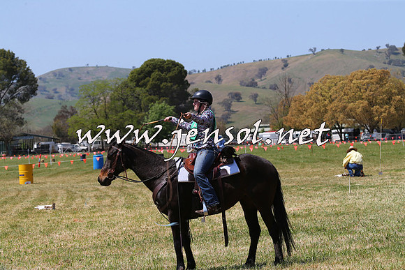 BattleoftheBidgee_1866