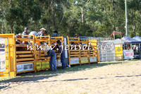 PictonRodeo2015_1728