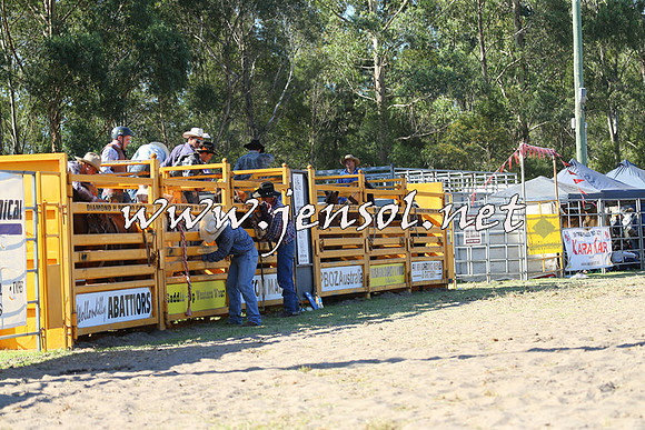 PictonRodeo2015_1728