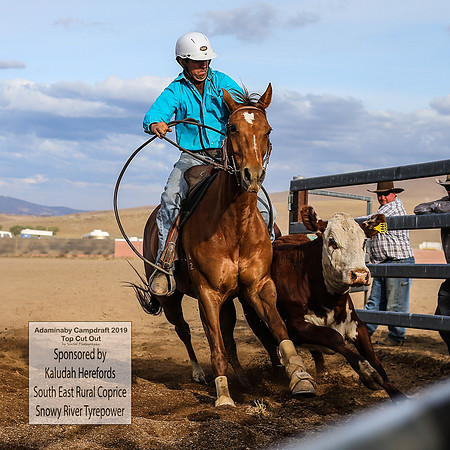 AdaminabyCampdraft2019_2748