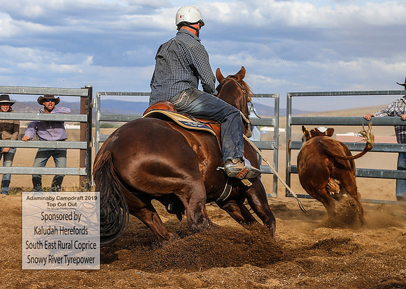 AdaminabyCampdraft2019_2482