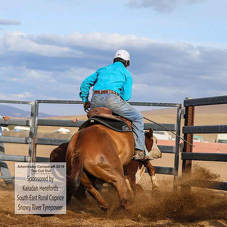 AdaminabyCampdraft2019_2724