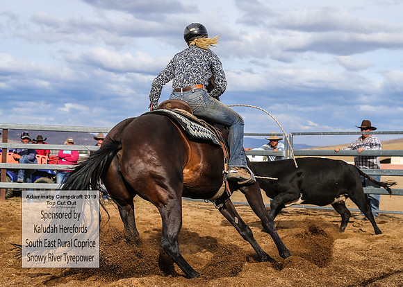 AdaminabyCampdraft2019_2233