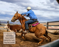 AdaminabyCampdraft2019_1785