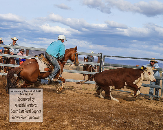 AdaminabyCampdraft2019_2551