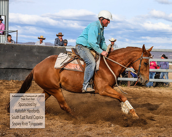 AdaminabyCampdraft2019_2559