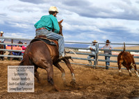 AdaminabyCampdraft2019_1914