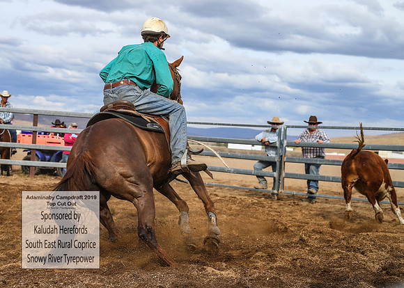 AdaminabyCampdraft2019_1914