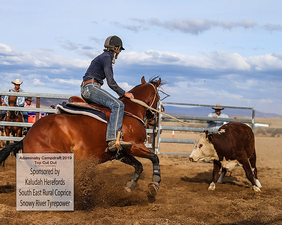 AdaminabyCampdraft2019_2647