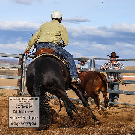 AdaminabyCampdraft2019_2752