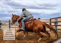 AdaminabyCampdraft2019_2023