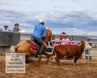 AdaminabyCampdraft2019_1765